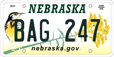 NE license plate BAG247