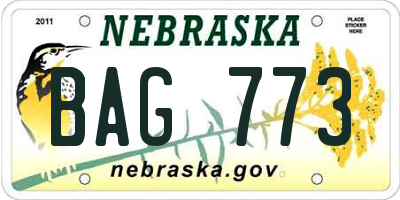 NE license plate BAG773