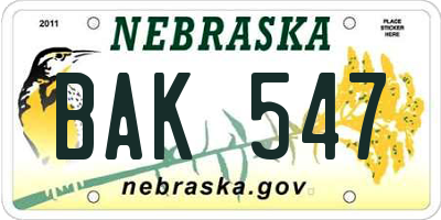 NE license plate BAK547