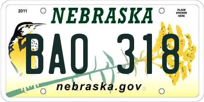 NE license plate BAO318