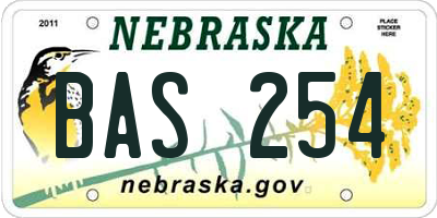 NE license plate BAS254
