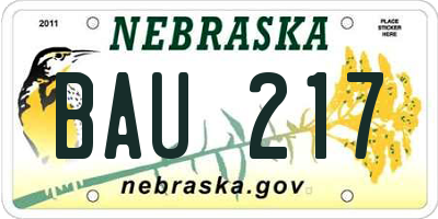 NE license plate BAU217