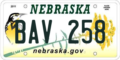 NE license plate BAV258