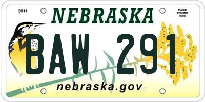 NE license plate BAW291