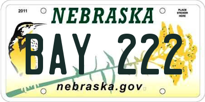 NE license plate BAY222