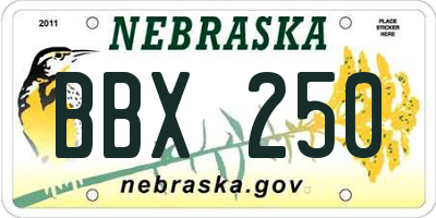 NE license plate BBX250