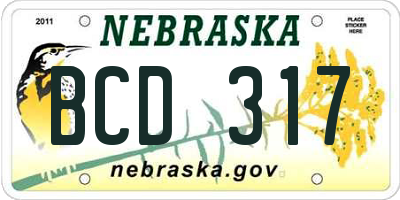 NE license plate BCD317