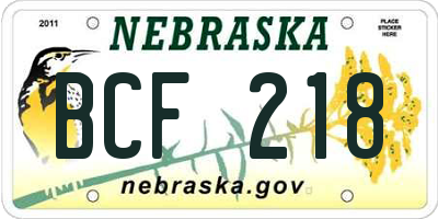 NE license plate BCF218