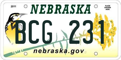 NE license plate BCG231