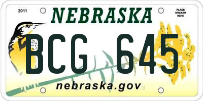NE license plate BCG645