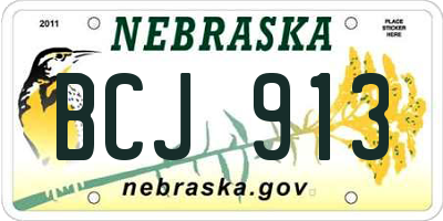 NE license plate BCJ913