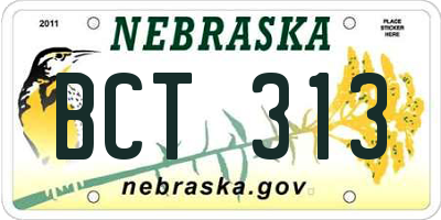 NE license plate BCT313