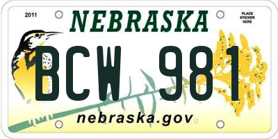 NE license plate BCW981