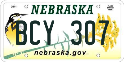 NE license plate BCY307