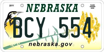 NE license plate BCY554