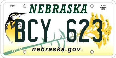 NE license plate BCY623