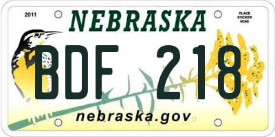 NE license plate BDF218