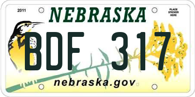 NE license plate BDF317