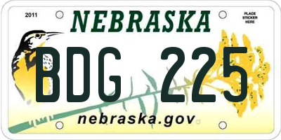 NE license plate BDG225