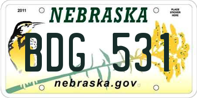 NE license plate BDG531