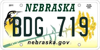 NE license plate BDG719