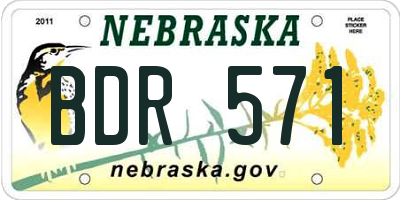 NE license plate BDR571