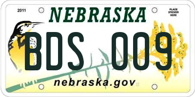 NE license plate BDS009