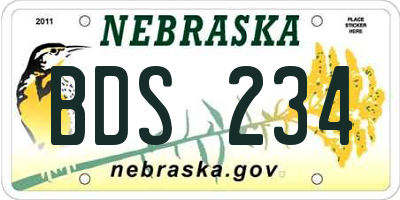 NE license plate BDS234
