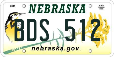 NE license plate BDS512