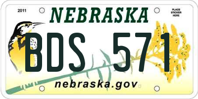 NE license plate BDS571