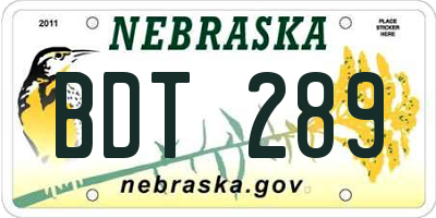 NE license plate BDT289