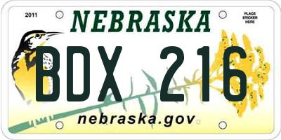 NE license plate BDX216