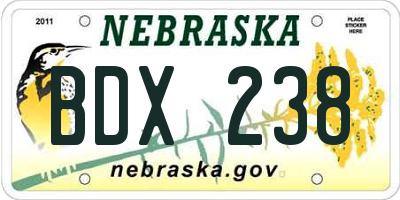 NE license plate BDX238