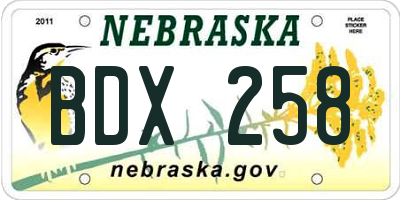 NE license plate BDX258
