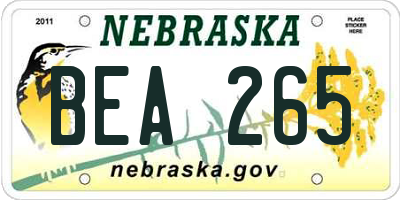 NE license plate BEA265