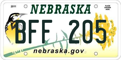 NE license plate BFF205
