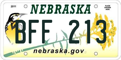 NE license plate BFF213