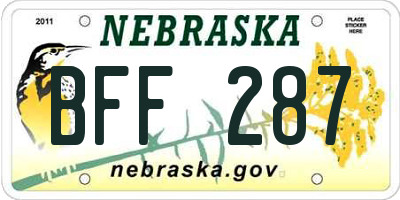 NE license plate BFF287