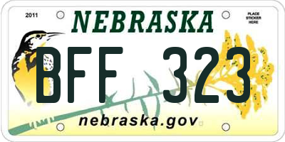 NE license plate BFF323