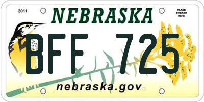 NE license plate BFF725
