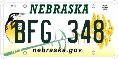 NE license plate BFG348