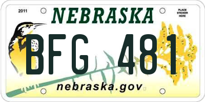 NE license plate BFG481