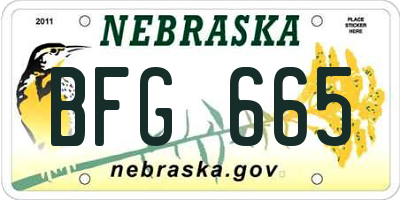 NE license plate BFG665