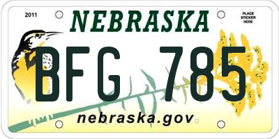 NE license plate BFG785
