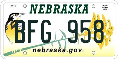 NE license plate BFG958