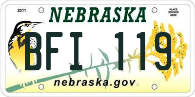 NE license plate BFI119