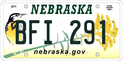 NE license plate BFI291