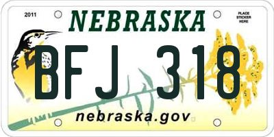 NE license plate BFJ318