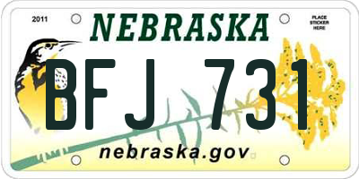NE license plate BFJ731