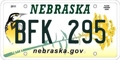 NE license plate BFK295